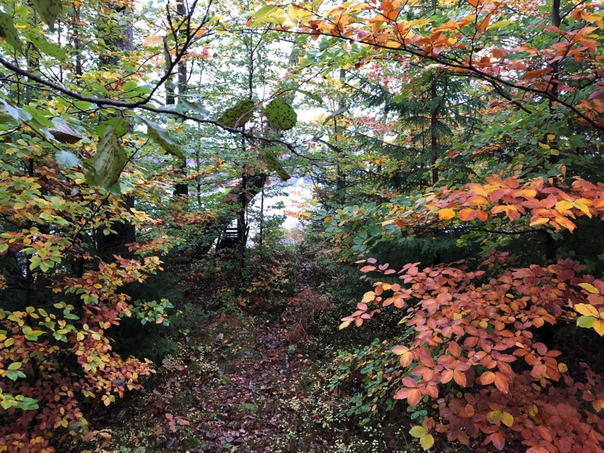 Naturskoent Boende Vid Sjoe Skanes Fagerhult ภายนอก รูปภาพ